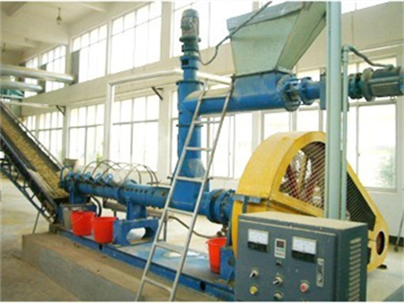 Rice Bran Oil Production Plant