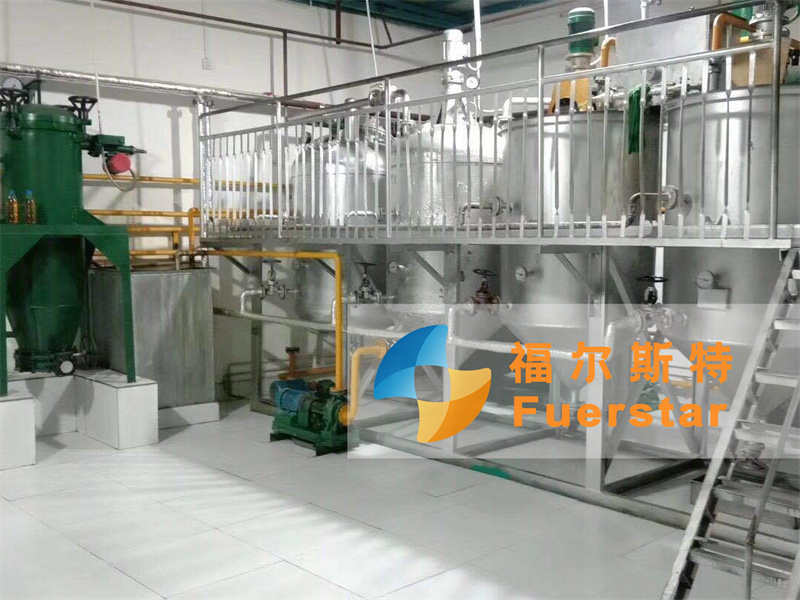 Edible Oil Refinery Plant