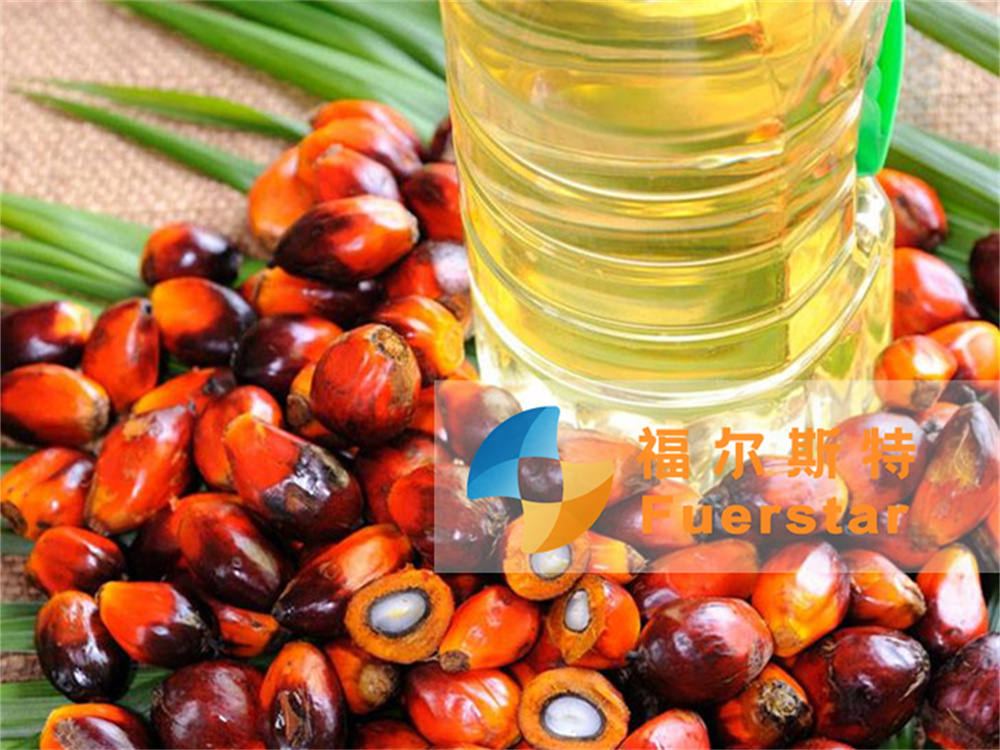 Palm Kernel Oil Production Process
