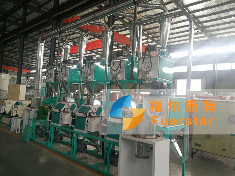 20-40 TPD Corn Milling Plant