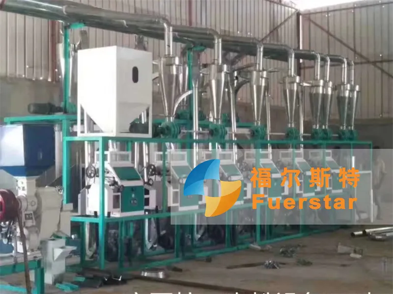 Angola-30TPD Maize Flour Milling Plant