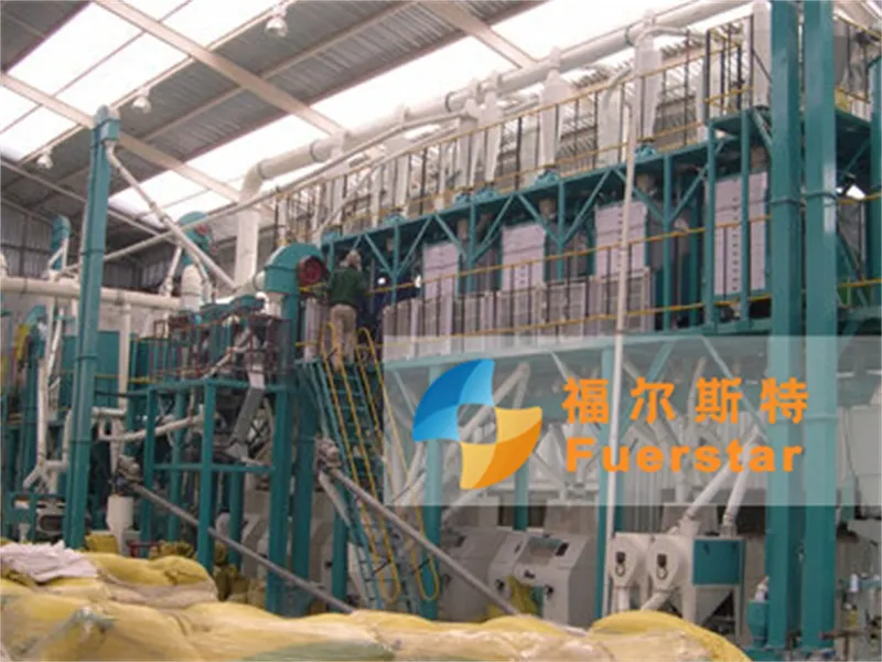 10-1000T/D Flour Production Line